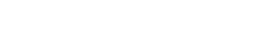 logo flexystrom